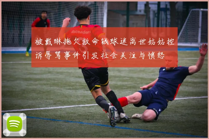 被戴琳拖欠救命钱球迷离世姑姑控诉辱骂事件引发社会关注与愤怒