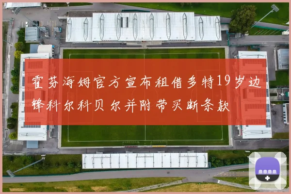 霍芬海姆官方宣布租借多特19岁边锋科尔科贝尔并附带买断条款