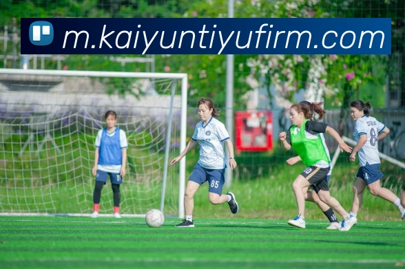 开云体育APP 高清赛事图